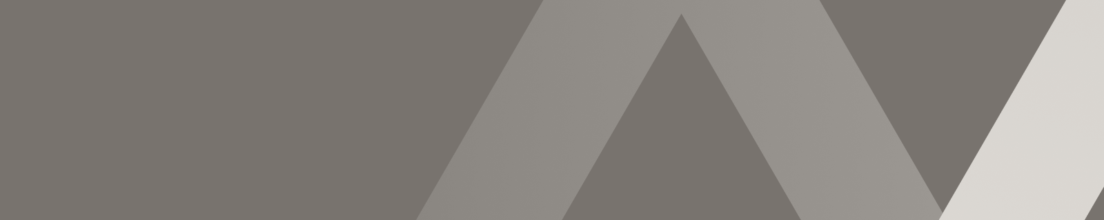 Investor Presentations