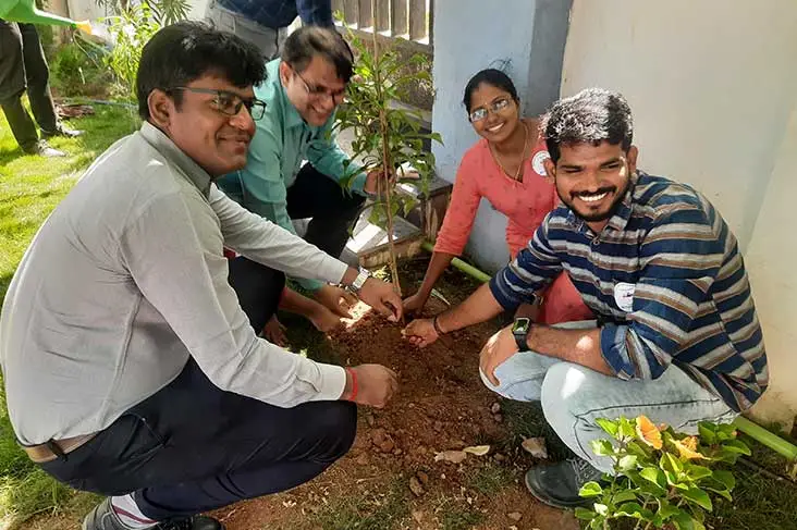 Employees participating in a tree planting activity as part of a community or sustainability initiative.