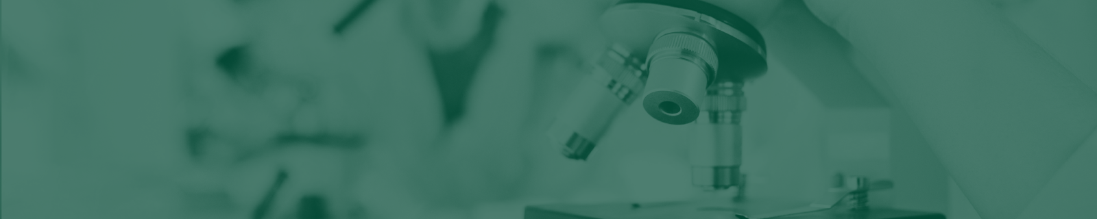 Custom API Manufacturing 