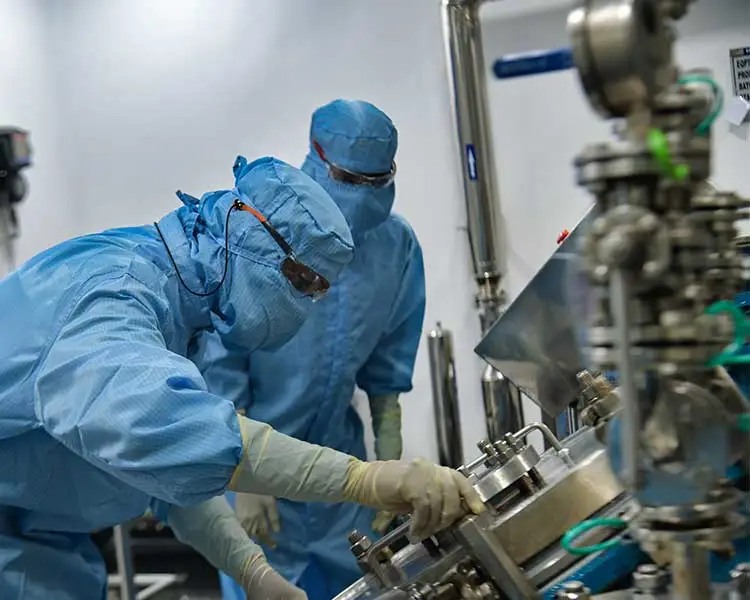 Late Phase (Phase 2 & 3)