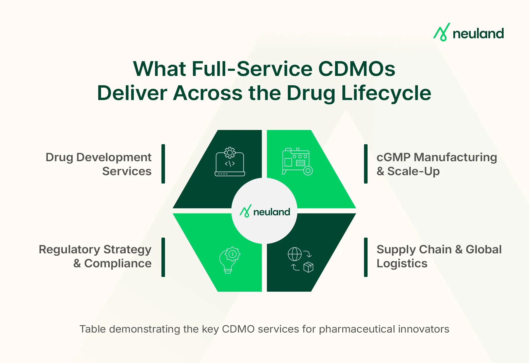 Table demonstrating the key CDMO services for pharmaceutical innovators