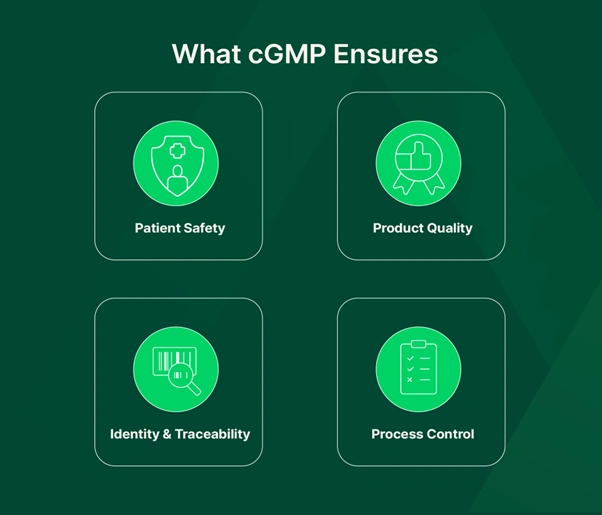 Infographic titled "What cGMP Ensures" showing four pillars: patient safety, product quality, identity and traceability, and process control.