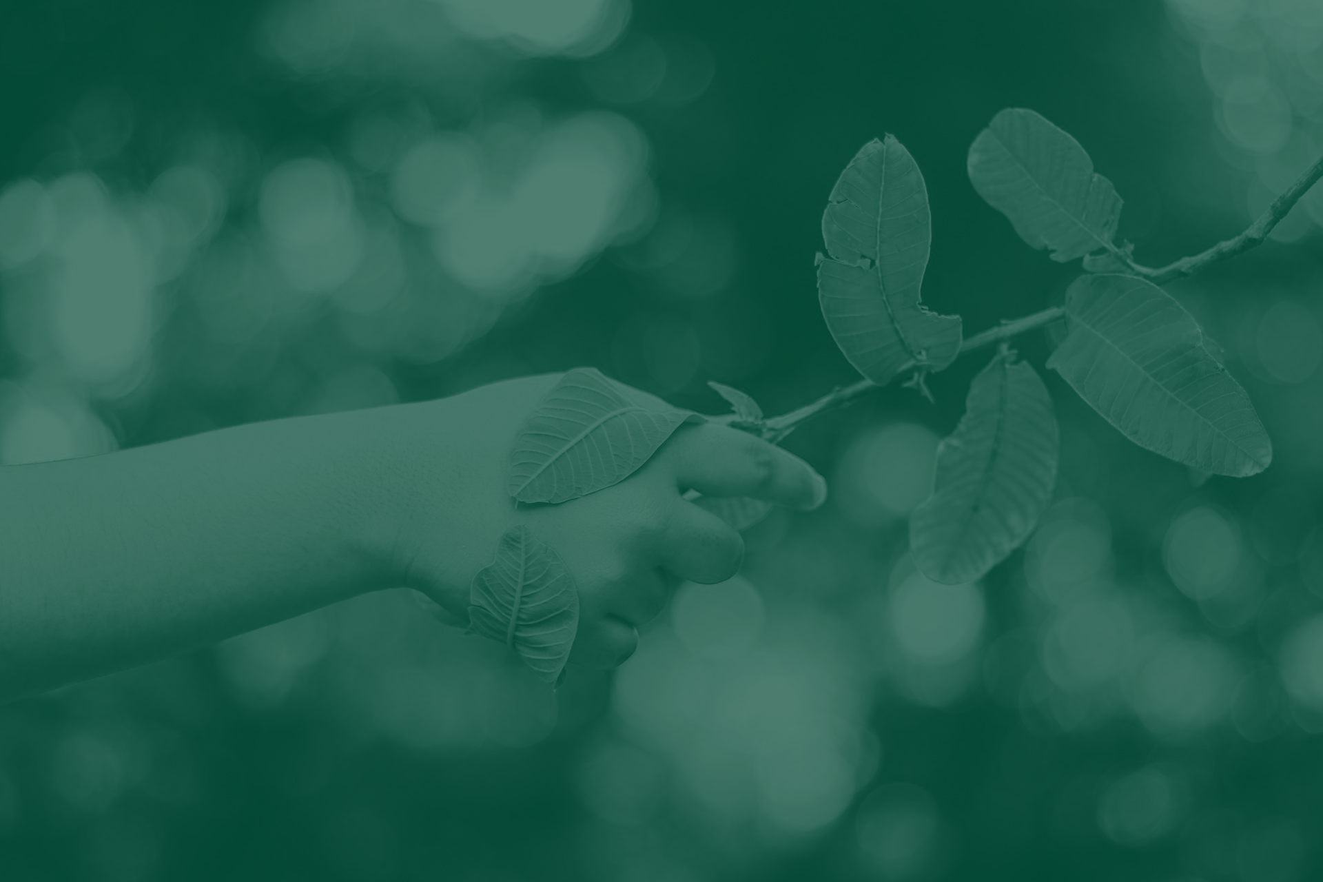 ESG Supplementary Book