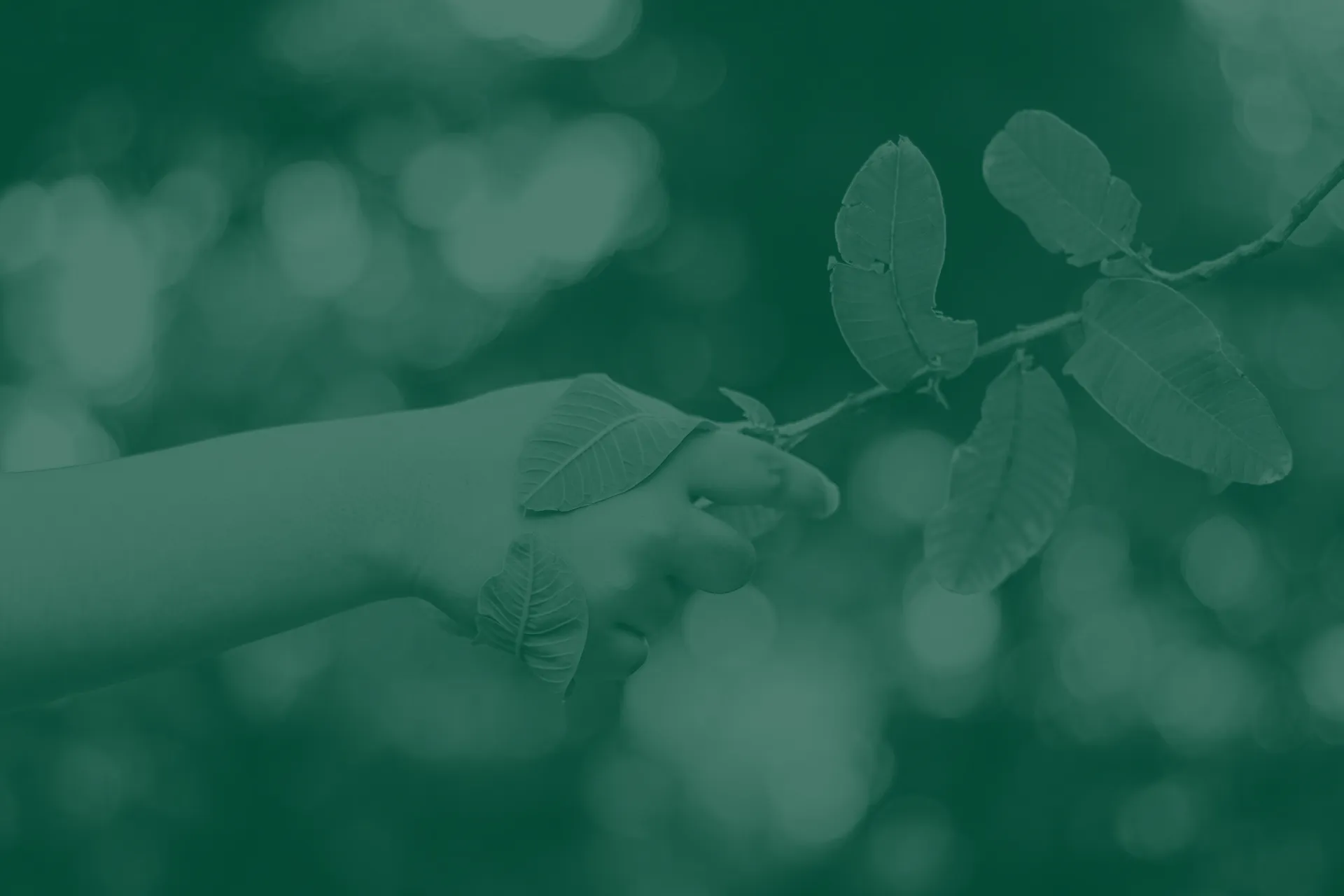 Our approach to sustainability