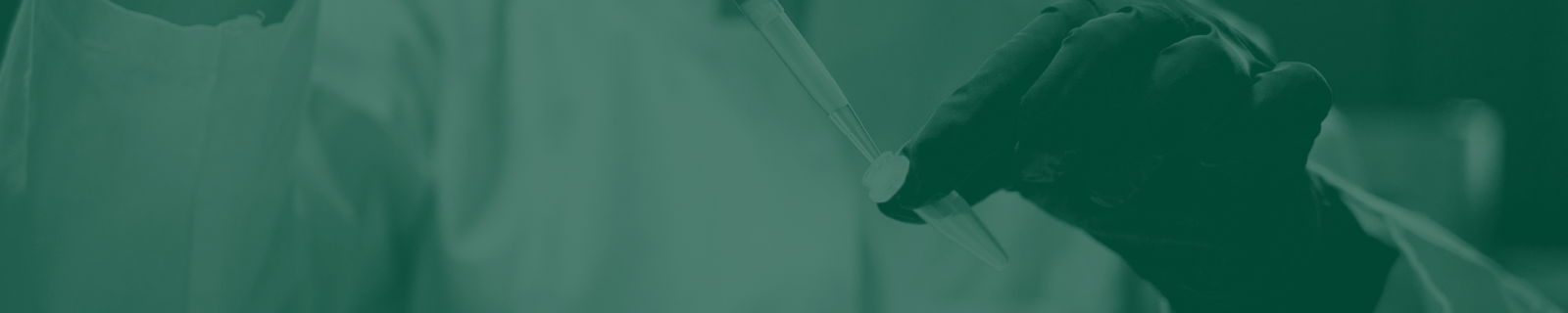 Intellectual Property