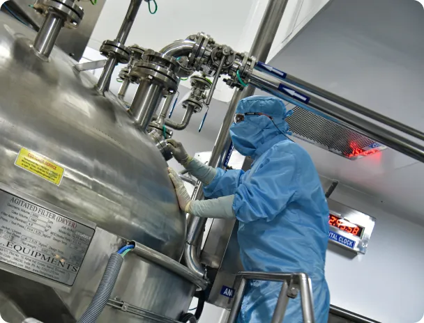 Regulatory CMC Services