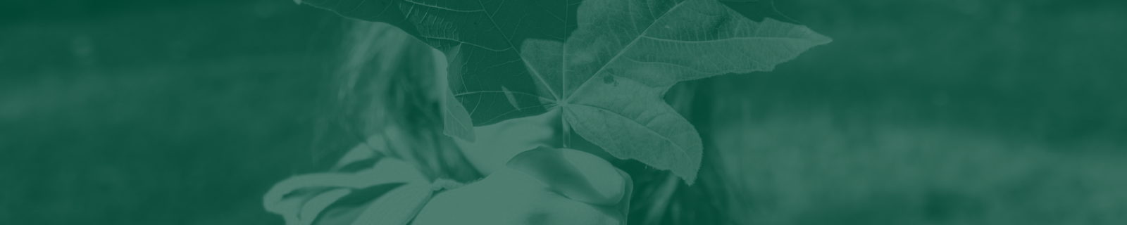 Reports Archive banner