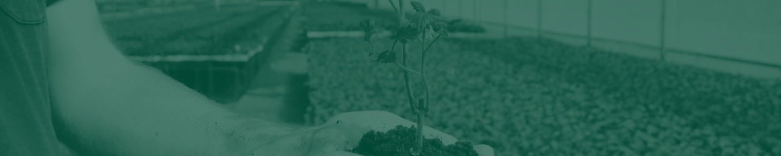 Supporting The Community