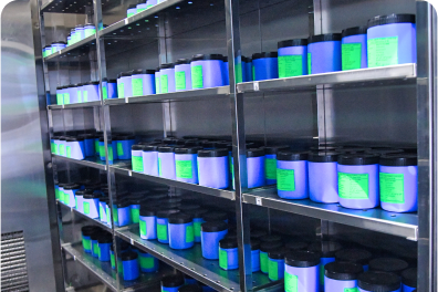 Supporting the community