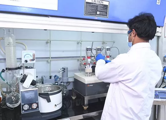 Building our portfolio